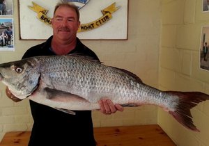  Kushengelaars speel nie